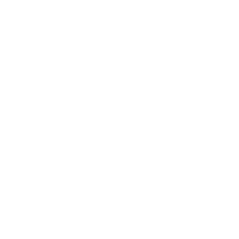 Reset Learning
